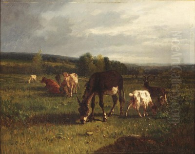 Antonio Cortes Cordero