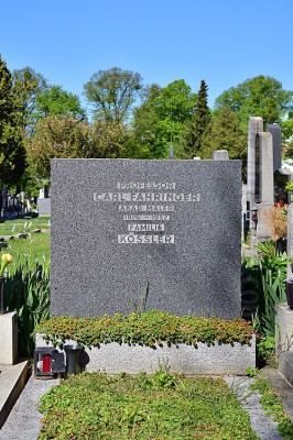 Carl Fahringer