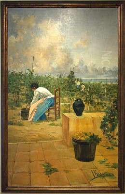 Joaquin Miro