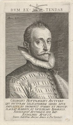 joris hoefnagel