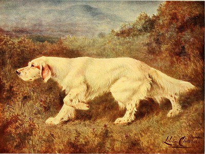 Lilian Cheviot