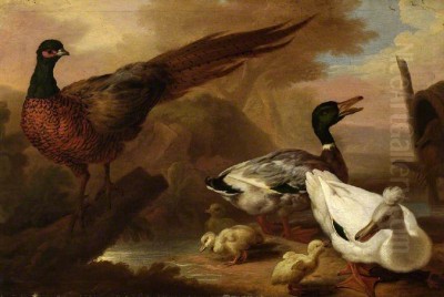 Pieter III Casteels