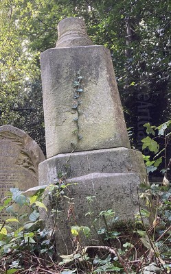 Sir William Charles Ross