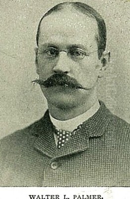 Walter Launt Palmer