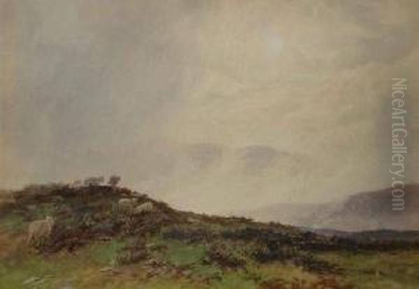 Sheep In A Moorland Landscape Oil Painting by Martin Snape