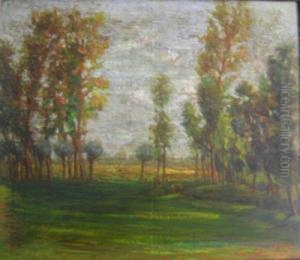 Scorcio Di Campagna Con Alberi Oil Painting by Erminio Soldera