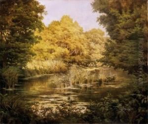 Summer Riverside
