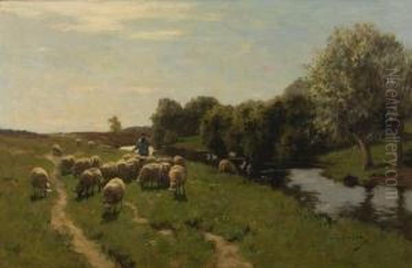 Sheep Grazing Beside A River Oil Painting by Willem II Steelink