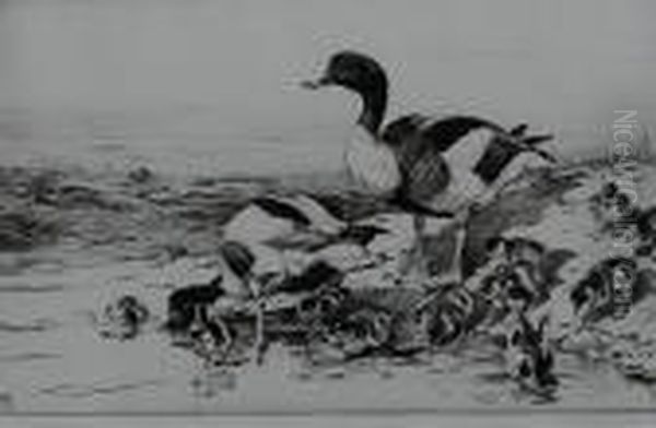 Doves Oil Painting by George Vernon Stokes