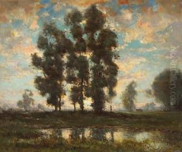 Eucalyptus - Morning Light Oil Painting by Dedrick Brandes Stuber