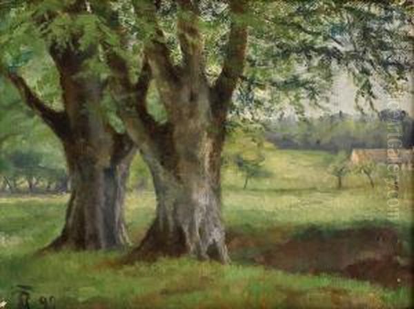 Boketraer, Parti Fra Dyrehaven I Kobenhavn 1892 1892 Oil Painting by Ragnhild Christine Thrane