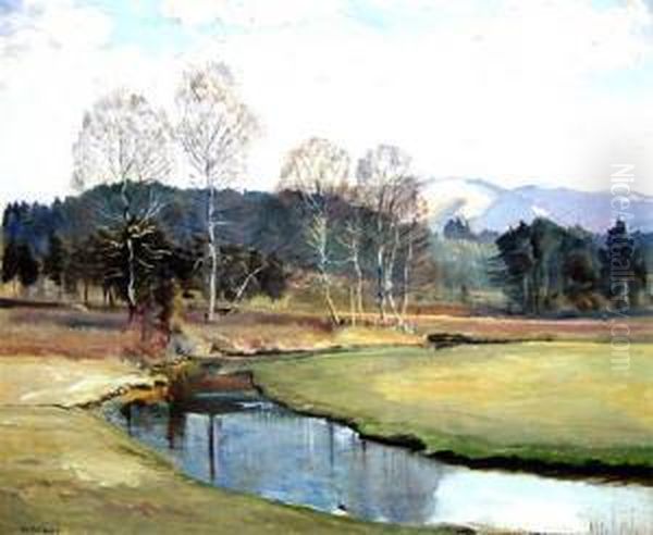 Foot Of The Alps, South Munich Oil Painting by Harald Tillberg