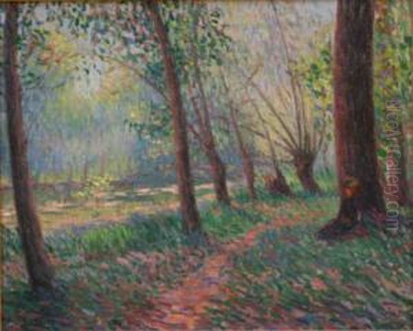 Sous-bois Pres D'un Cours D'eau Oil Painting by Eugene Tirvert