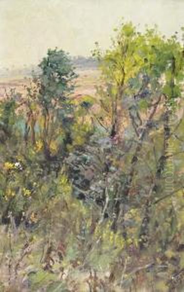 'de Tarde Abadia' - Ericeira Oil Painting by Falcao Trigoso
