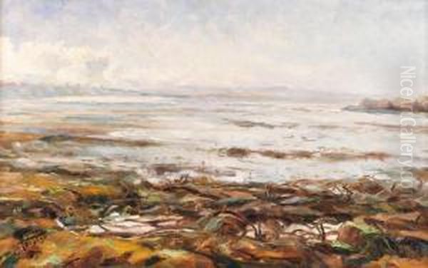 A Danca Das Algas Oil Painting by Falcao Trigoso