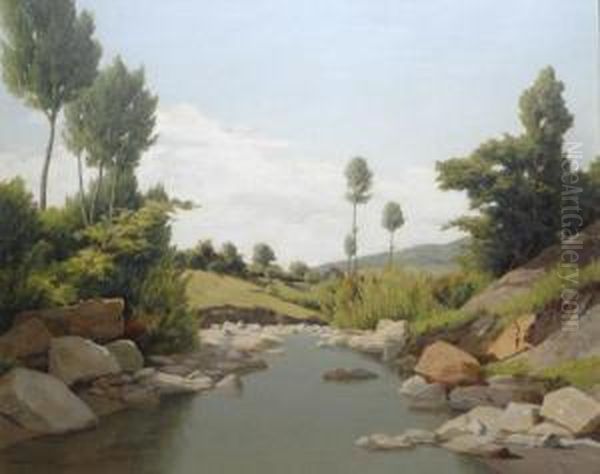 Torrente (paesaggiodell'amiata) Oil Painting by Memo Vagaggini