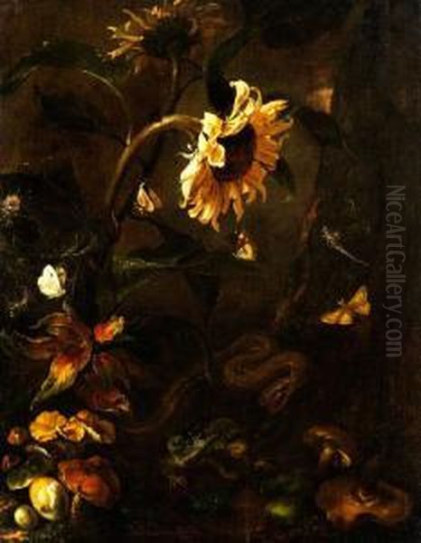 Stilleben Mit Sonnenblume, Schlange,krote, Insekten Und Pilzen Oil Painting by Otto Marseus Snuff. Van Schrieck
