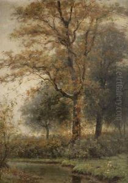 Bomenpartij Aan Het Water Oil Painting by Theodoor Verstraete