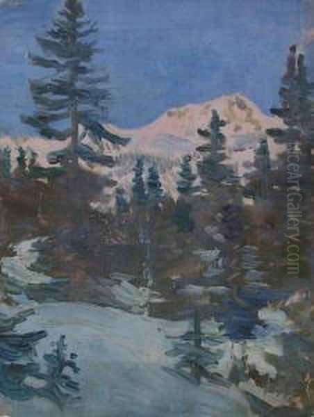 Winterliche Gebirgslandschaft Oil Painting by Constantin Von Mitschke Collande