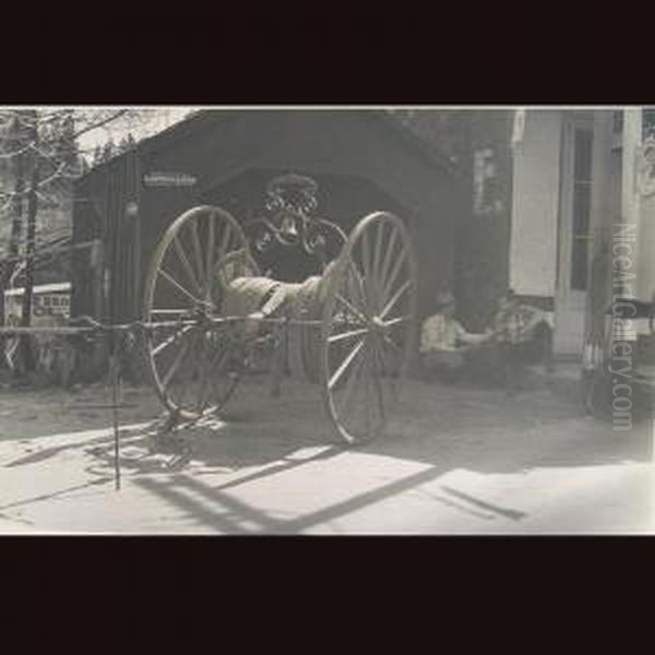 Photographs Of Northern California Oil Painting by Clifford Warner