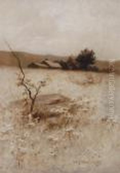 Meadow Oil Painting by William John Whittemore