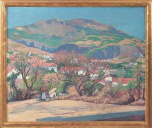 Southwest Landscape