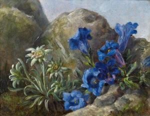 Edelweiss Und Enzian