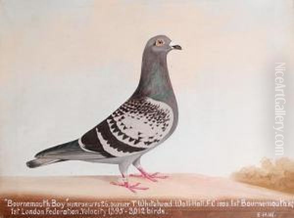 Bournemouth Boy Oil Painting by Edward Henry Windred