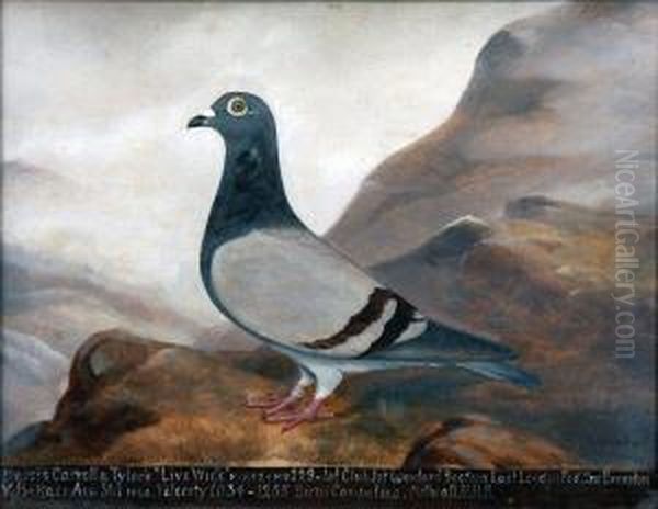 Messrs Carroll & Tyler's Live Wire Oil Painting by Edward Henry Windred