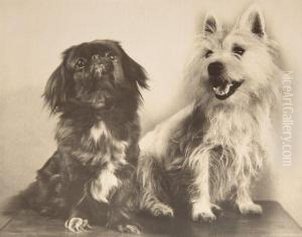 Chiens Oil Painting by Ylla