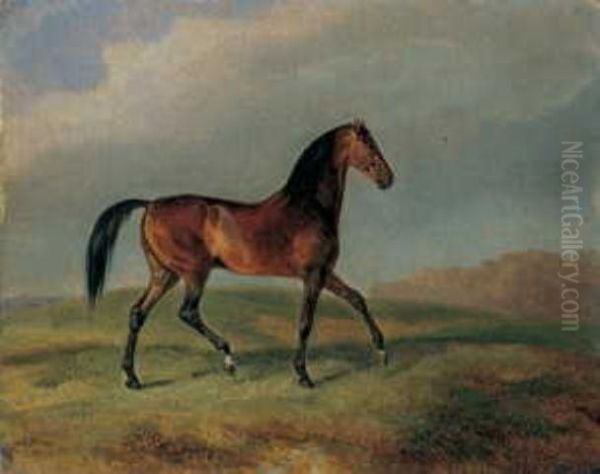 Brauner Im Trab Vor Landschaftlichem Hintergrund Oil Painting by Adam Albrecht