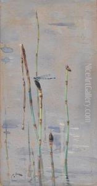 The Demoiselle Oil Painting by Edwin Alexander