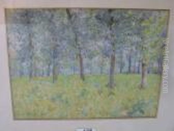 Le Sous Bois Au Printemps Oil Painting by Emile Ancelet