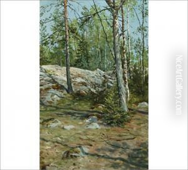 Forest Oil Painting by Hugo Elias Backmansson