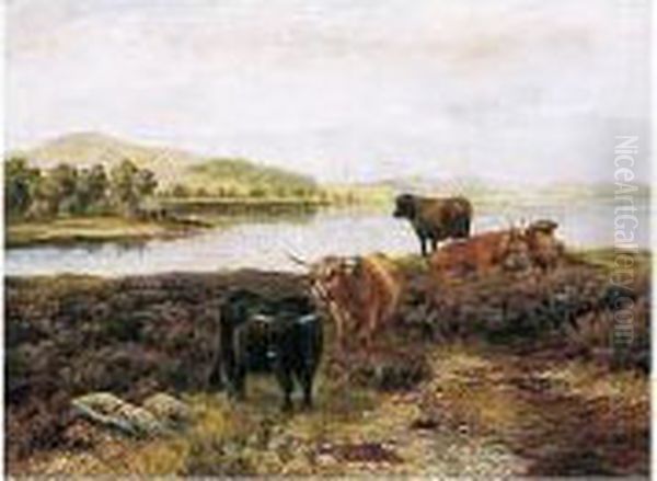 Highland Cattle Resting Oil Painting by Wright Barker