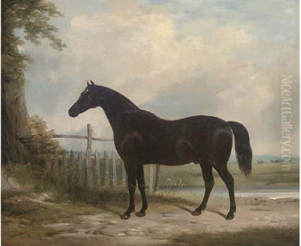 Plato, The Property Of The Marquess Of Hastings Oil Painting by William Barraud