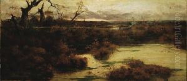 Palude Nei Pressi Di Roma Oil Painting by Pietro Barucci