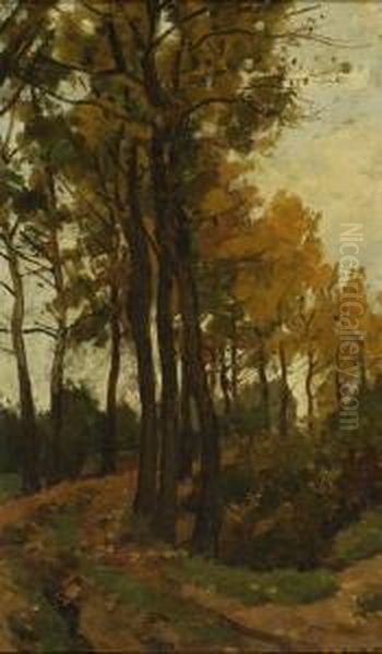 Sandy Path Oil Painting by Nicolaas Bastert