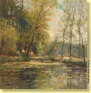 Rayons De Soleil Sur L'etang