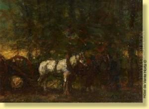 Chevaux Dans La Penombre