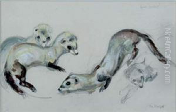 Furet Putoise, Etude Oil Painting by Raymond Bigot
