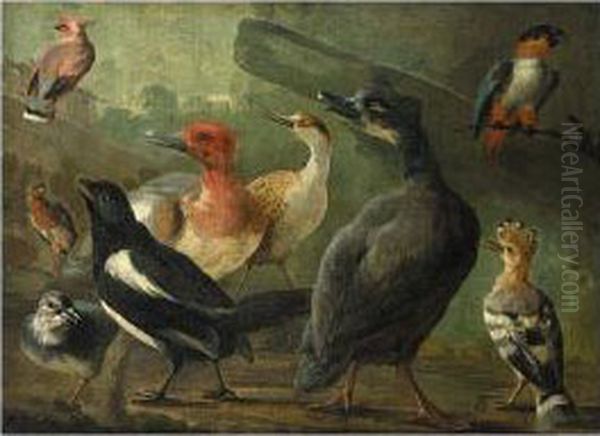 Landscape With A Black-capped Caique Parrot, A Hoopoe, A Magpie And Other Birds Oil Painting by Jakob Bogdani Eperjes C