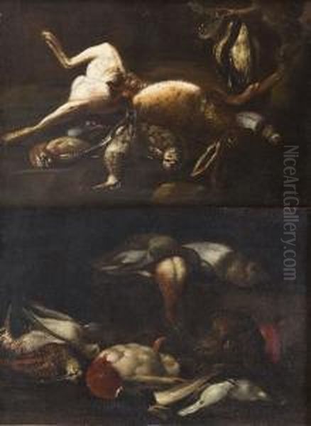 Natura Morta Con Cacciagione E Cane
 Natura Morta Con Cacciagione E Lepre Oil Painting by Felice Boselli