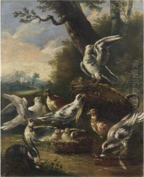 La Piccionaia Oil Painting by Felice Boselli