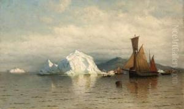 Labrador Fishing Boats Near Cape Charles Oil Painting by William Bradford