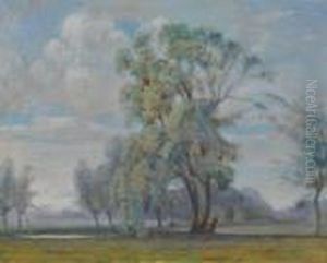 Trees In A Landscape Trees In A Landscape