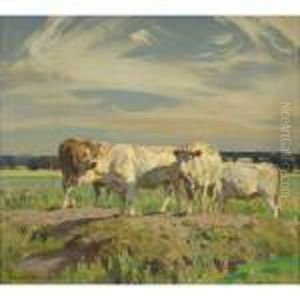 Cattle Resting