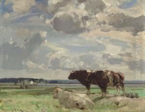 Cows Grazing On A Marsh