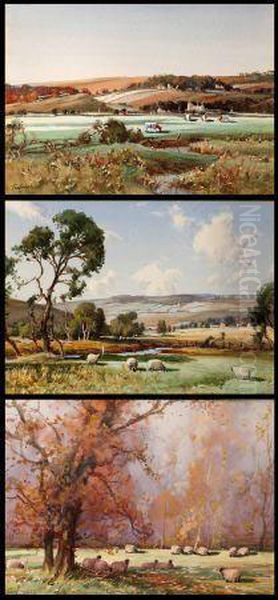 Sheep And Cattle Grazing In Country Landscapes Oil Painting by Thomas, Tom Campbell
