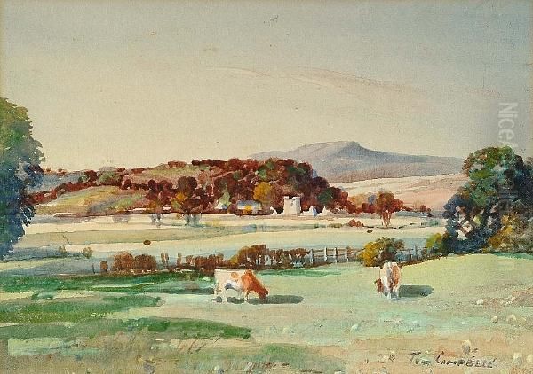 Killarnie Oil Painting by Thomas, Tom Campbell